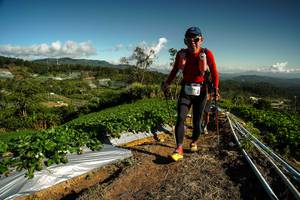 BIB: 6456
                            <button type="button" onclick="openModal(19123193)" class="btn btn-primary btn-sm float-right btn-popup" data-toggle="modal" data-target=".modal-high-quality">
                        <i class="fas fa-shopping-cart"></i> Add to Cart
                    </button>
                                            <button type="button" onclick="isThisMe(19123193, true)" class="btn btn-success btn-sm float-right btn-popup btn-isme hidden" data-toggle="tooltip" data-placement="bottom" title="นี่คือรูปของคุณใช่ไหม คลิกที่นี่เพื่อเอาเข้าอัลบั้ม">
                        <i class="fas fa-plus"></i> Add to album
                    </button>
                    <button type="button" onclick="isThisMe(19123193, false)" class="btn btn-warning btn-sm float-right btn-popup btn-isnotme hidden">
                        <i class="fas fa-ban"></i> Remove from album
                    </button>